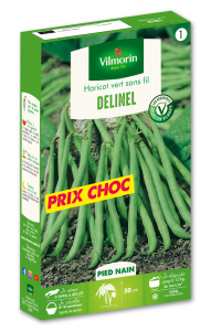 Haricot Nain Vert Delinel